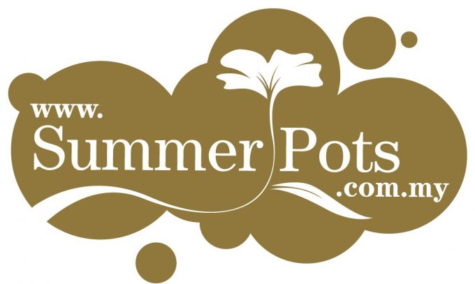 Summer Pots Florist