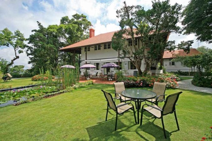 David Brown&#8217;s Restaurant and Tea Terraces