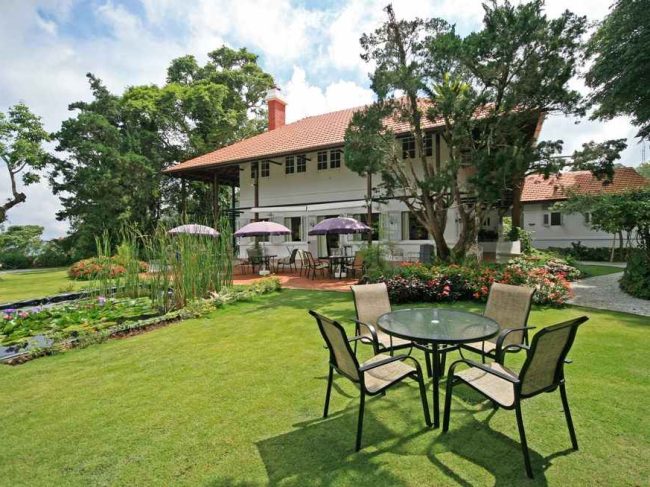 David Brown’s Restaurant and Tea Terraces