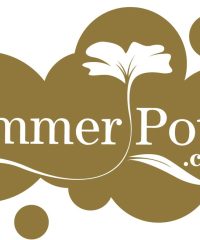 Summer Pots Florist