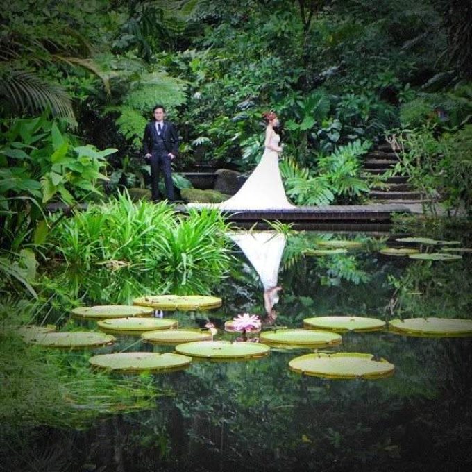 Tropical Spice Garden