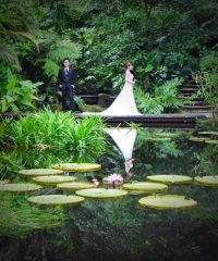 Tropical Spice Garden