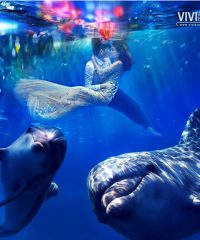 Vivi Bride Johor Bahru